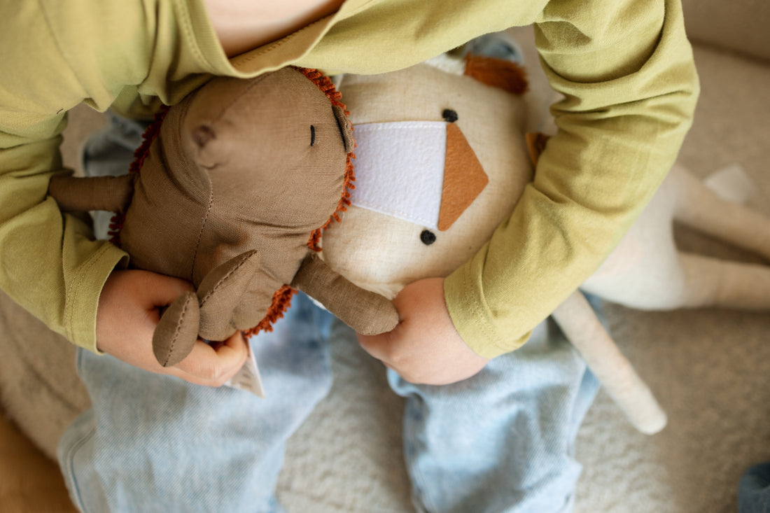 Kids Toys