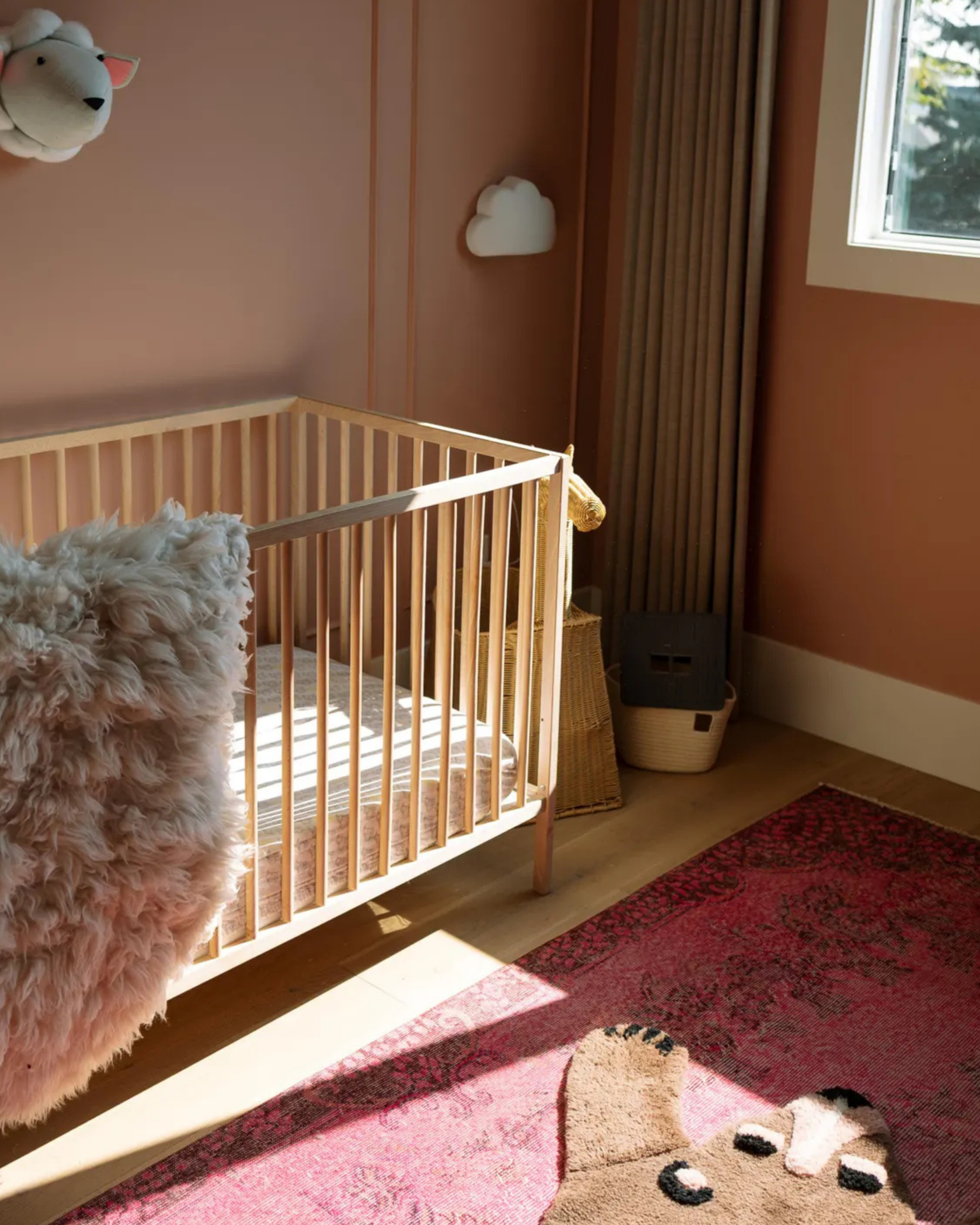Benny the Bear Rug