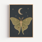 Luna Moth Wall Art Poster