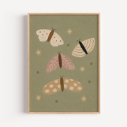 Moth Wall Art Poster