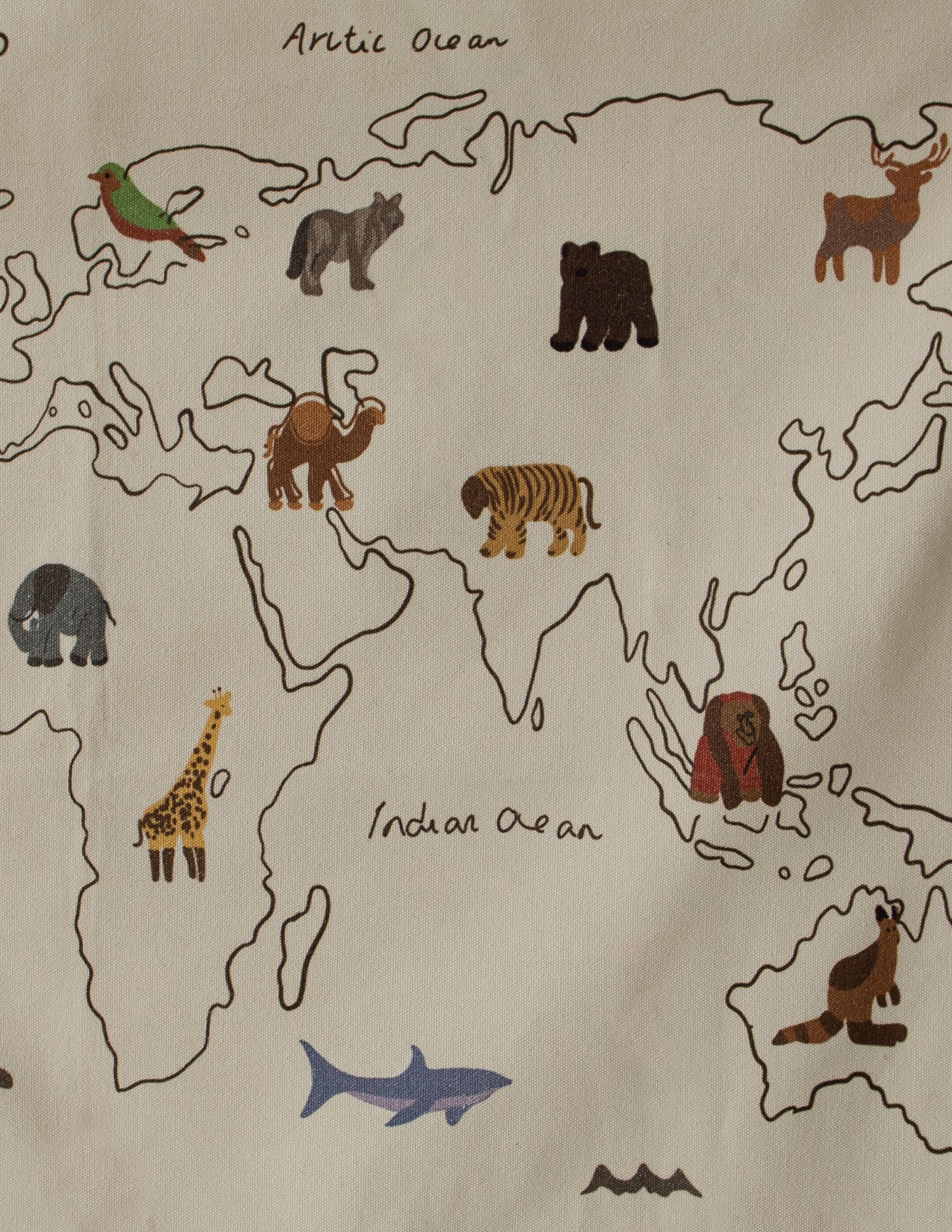 Wild World Canvas Map