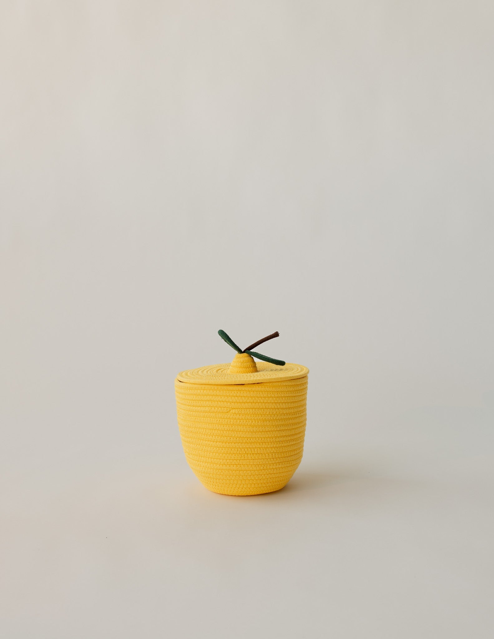 Lemon Rope Basket
