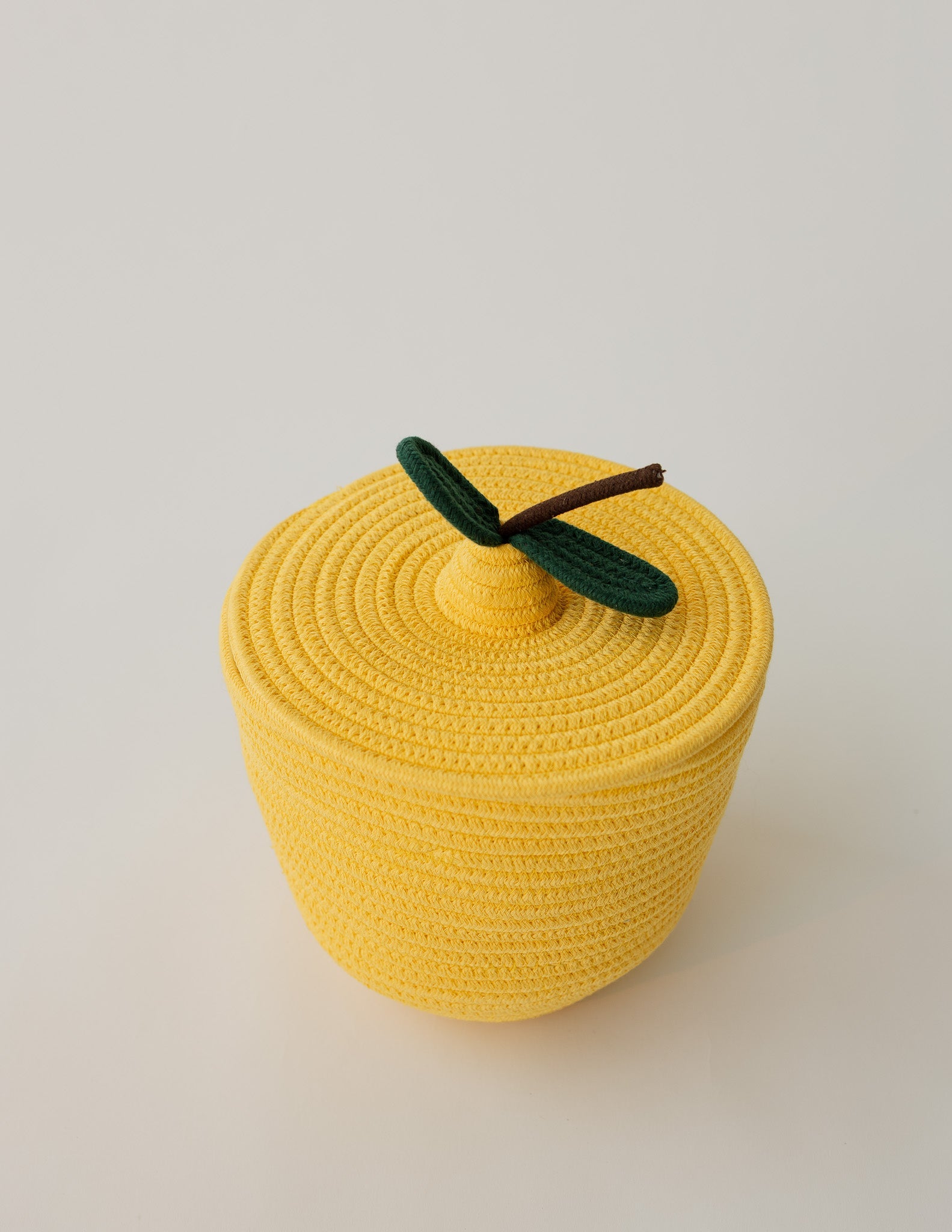 Lemon Rope Basket