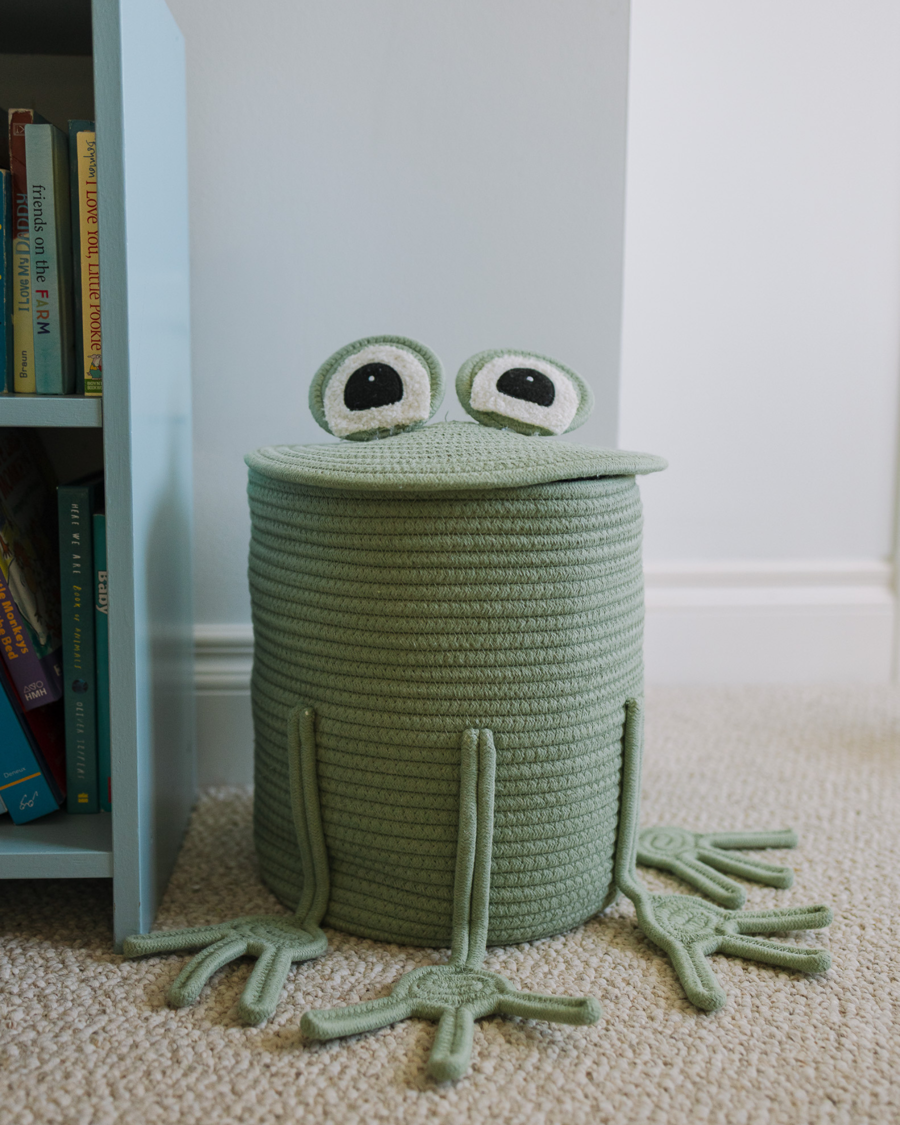 Freddy the Frog – Storage Basket