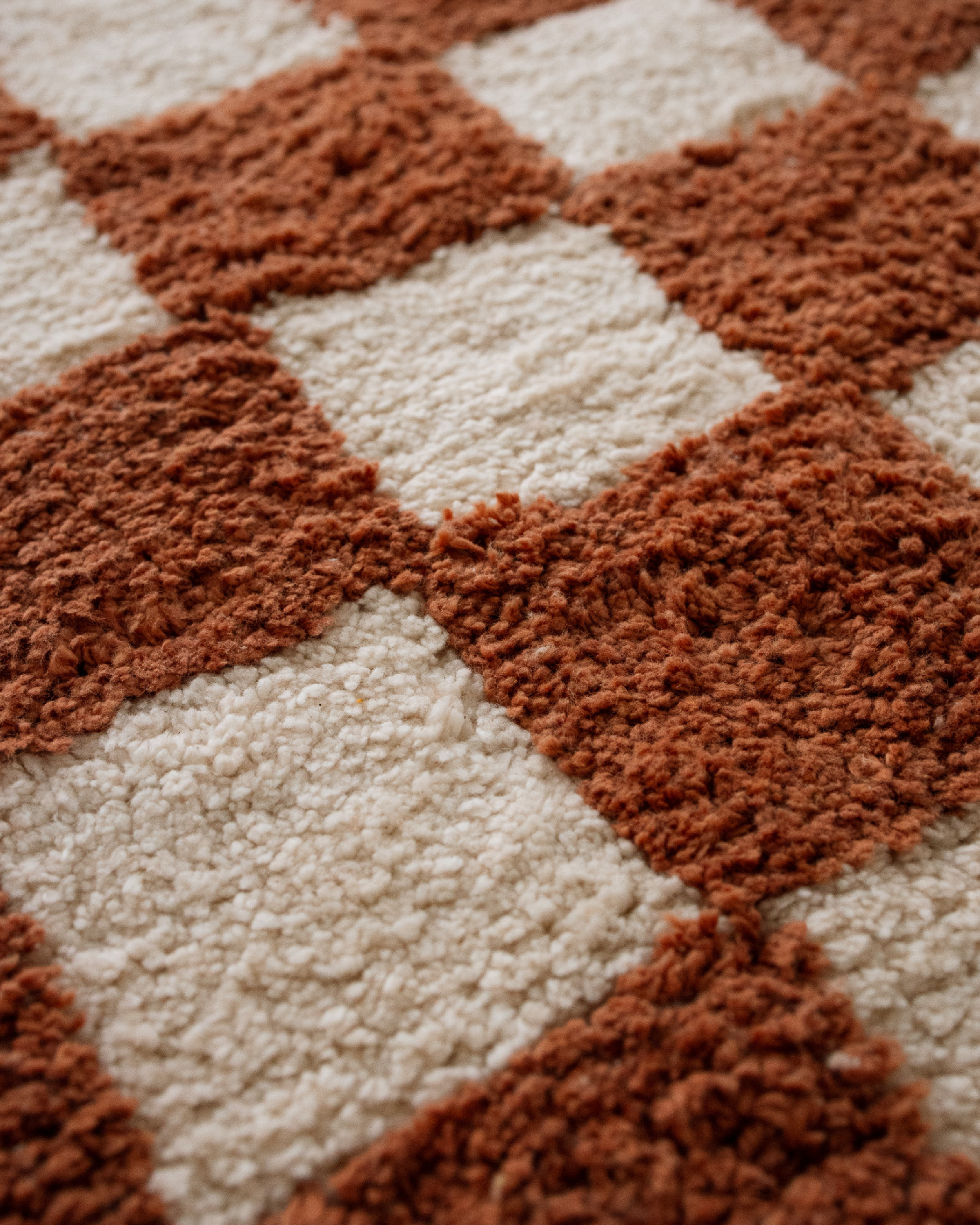 Rustic Check Rug