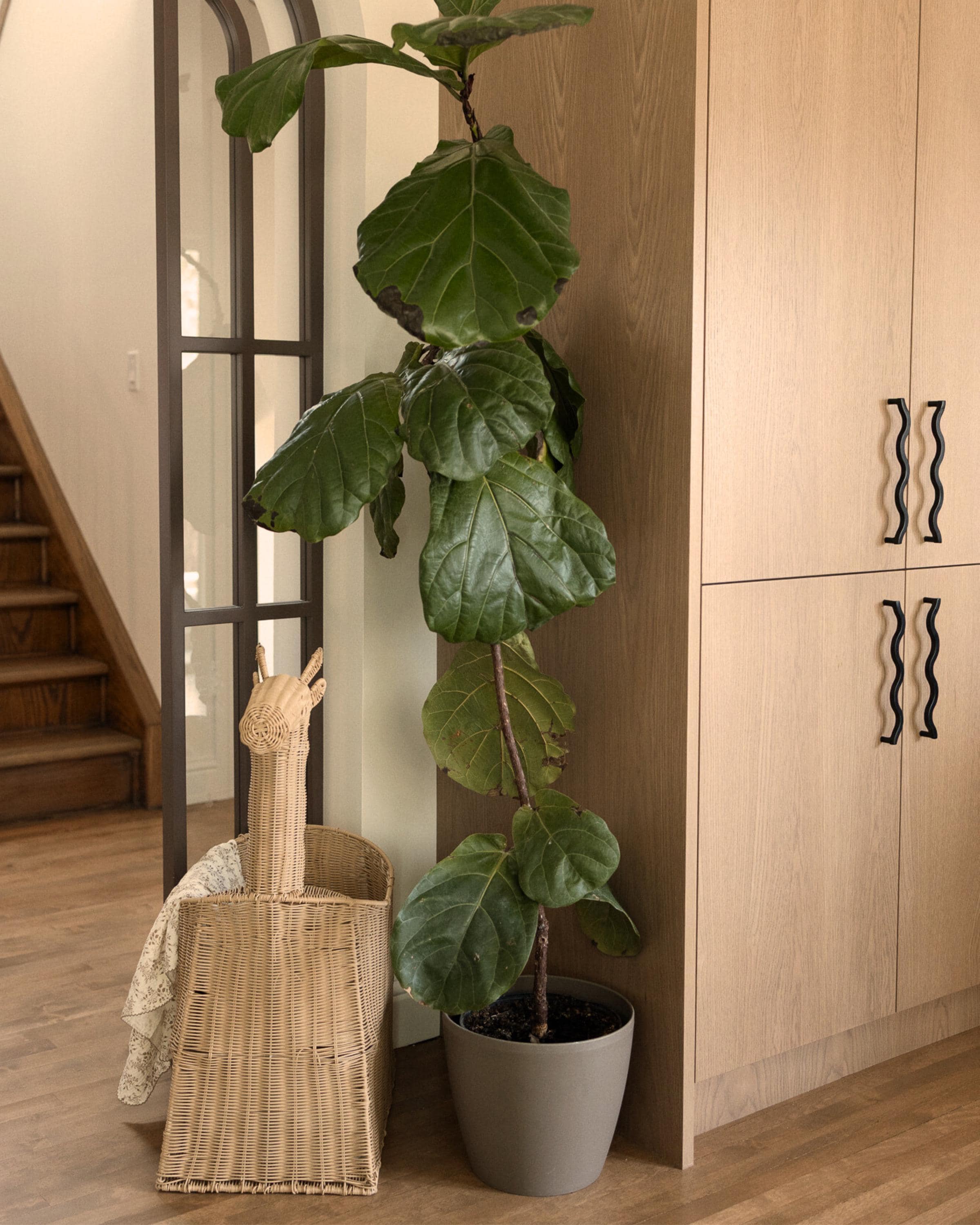 Giraffe Storage Basket