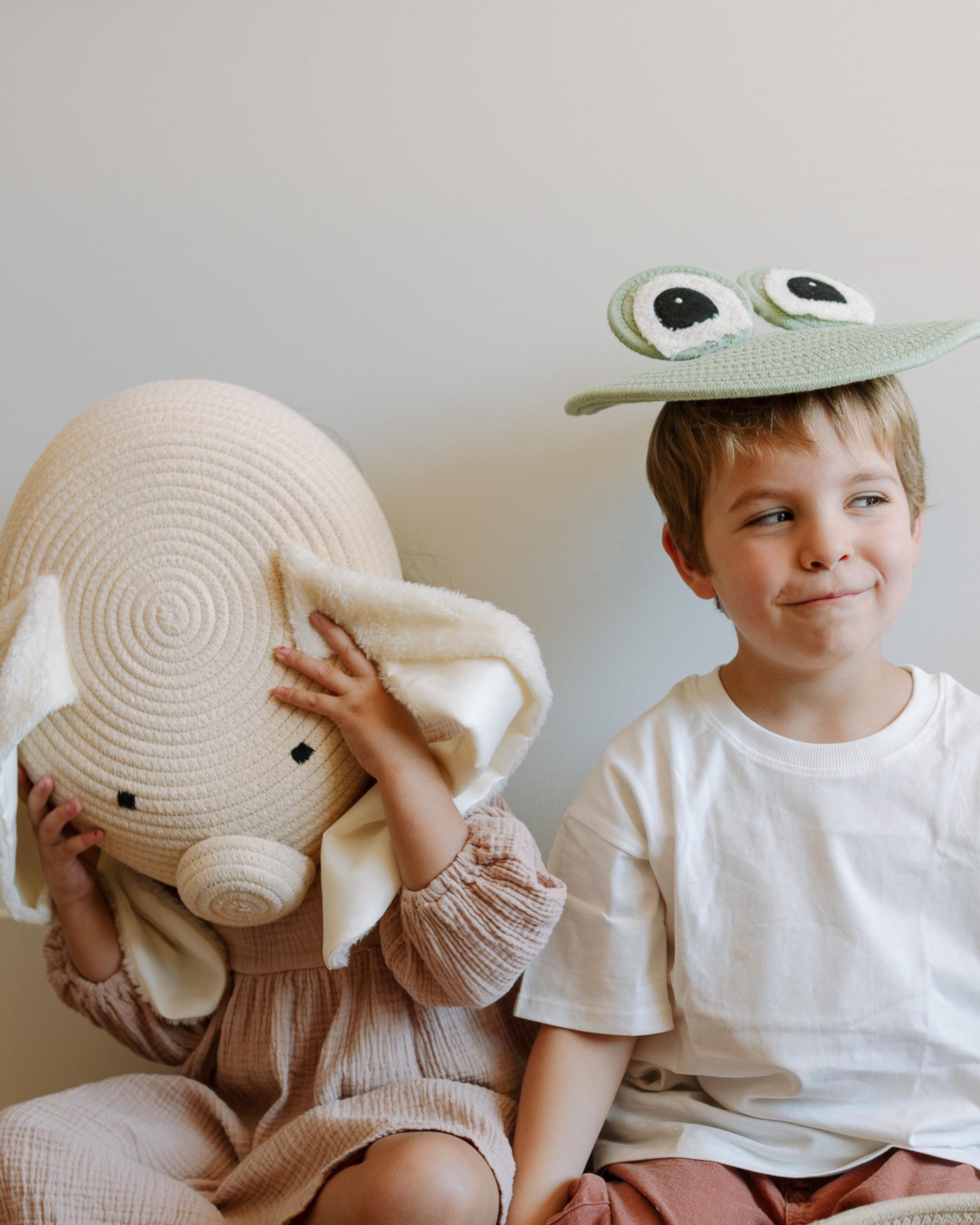 Freddy the Frog – Storage Basket